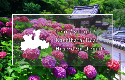 Tenri, Sakurai, Hase, Kashihara, Uda